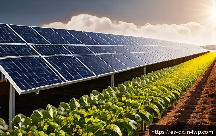 Cómo medir el rendimiento real de tu instalación solar y maximizar su eficiencia energética 3 태양광 발전 설치 후 성과 측정 방법 관련 이미지 1